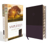Amplified Study Bible -  (Indexed) Purple
